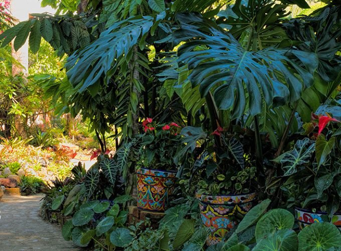 Jardín Botánico