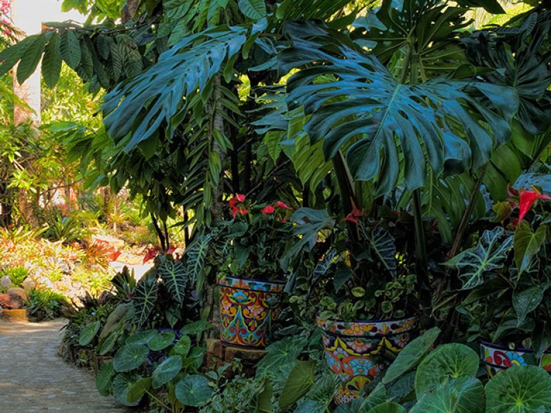 Jardín Botánico