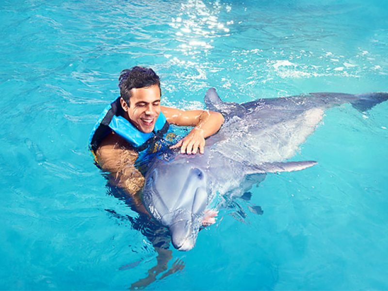 Dolphin Encounter