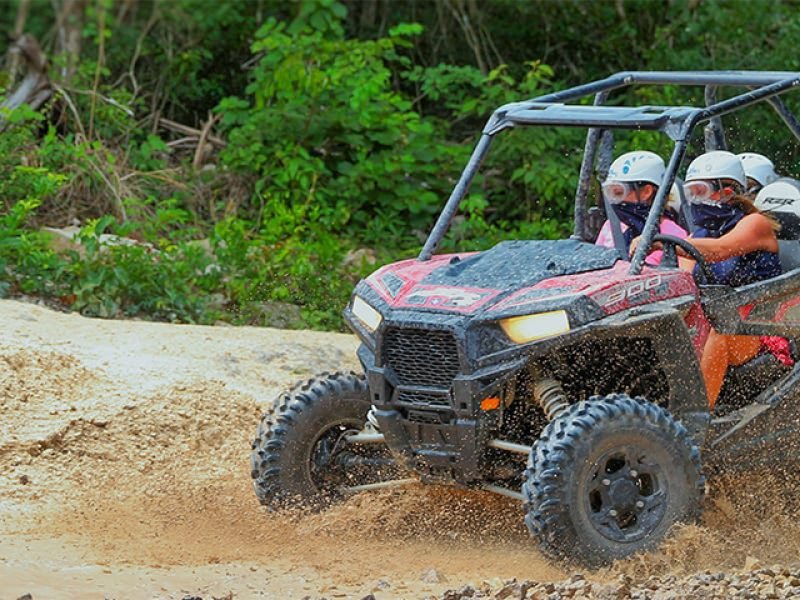 All Terrain Safari