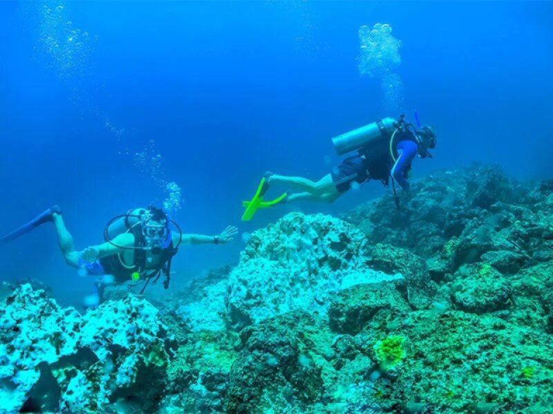 Buceo en el Morro