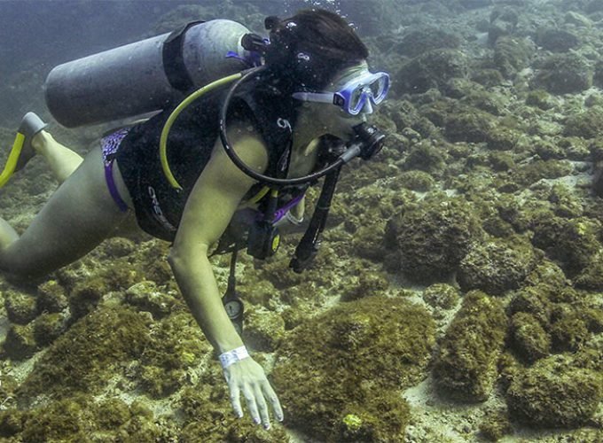 Buceo en Los Arcos