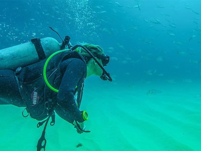 Buceo Privado en Los Anegados