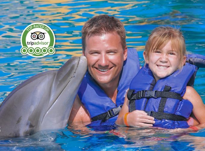 Las Caletas y Delfines