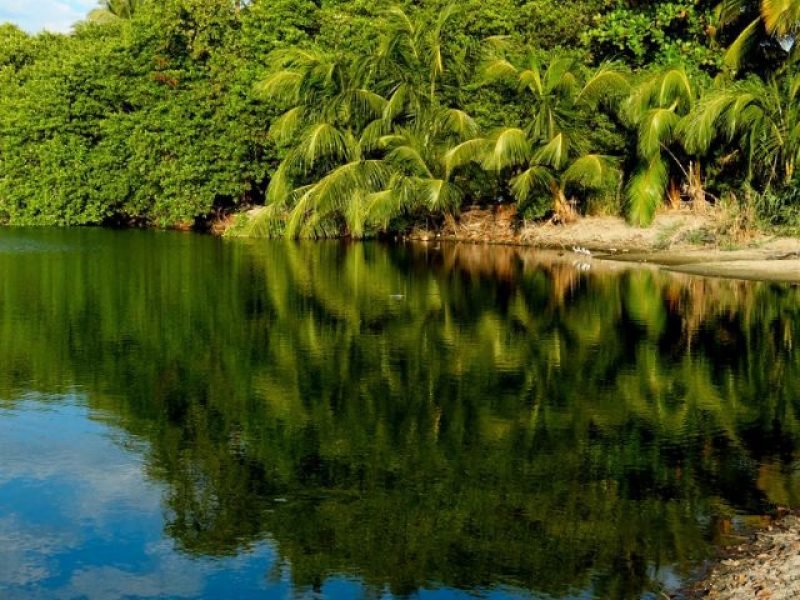 Paseo por la Laguna de Manialtepec