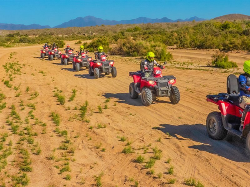 Atv Desert Tour