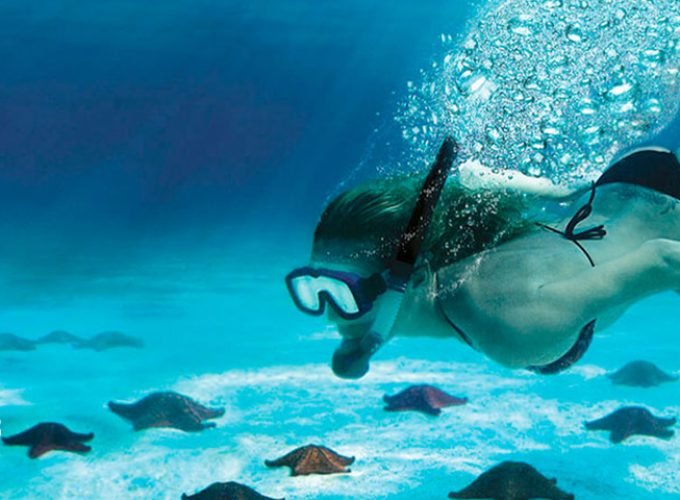 Tour de Snorkel en Cozumel