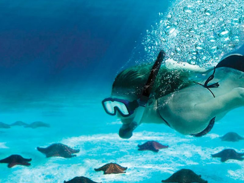 Tour de Snorkel en Cozumel