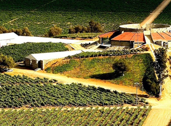 Vive la Ruta del Vino en Valle de Guadalupe, la «Capital del Vino Mexicano»