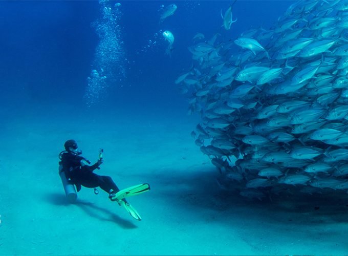 Buceo en Cabo Pulmo