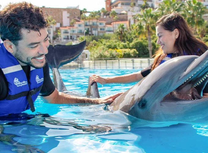 Experiencia con Delfines