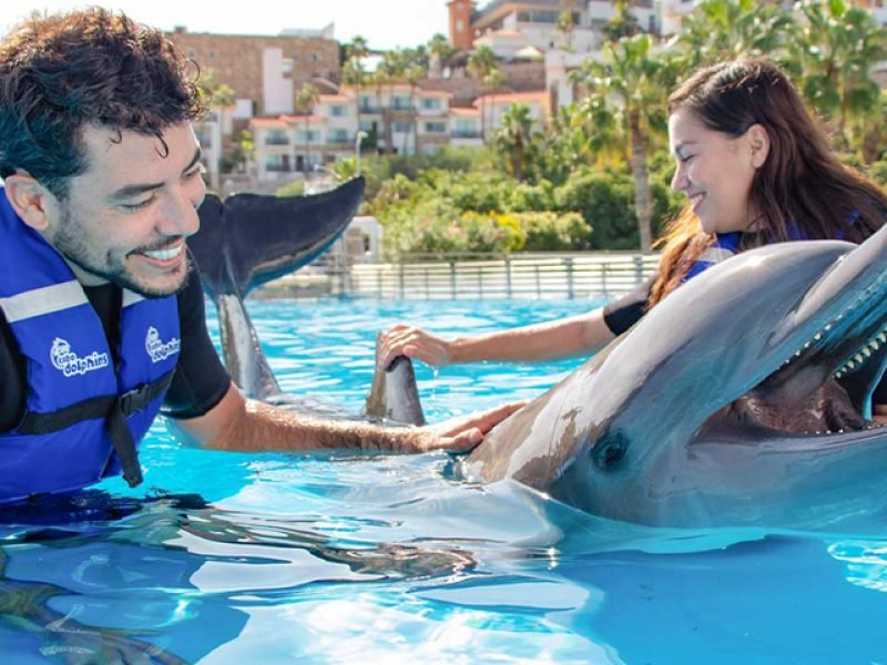 Experiencia con Delfines