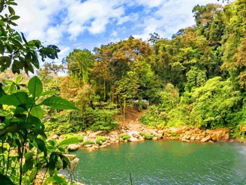 Misol-Ha, Agua Azul y Palenque