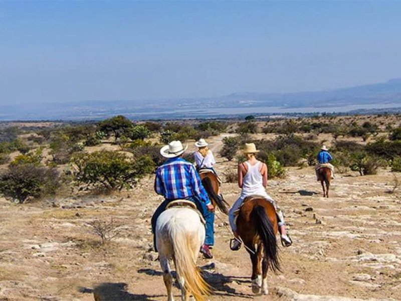 Conoce Guanajuato en Caballo