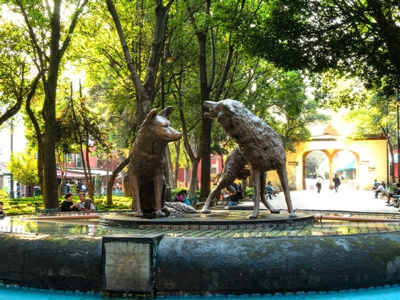 Xochimilco y Coyoacán