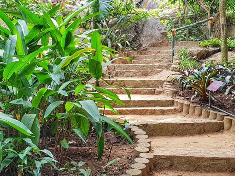 Campamento de Tortugas, Santuario de Cocodrilos y Jardín Botánico