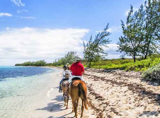 Aventura en Caballo en Zihuatanejo