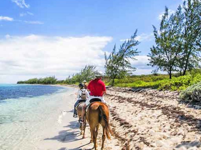 Aventura en Caballo en Zihuatanejo