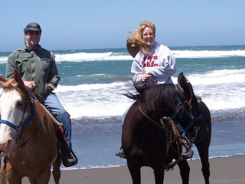 Excursión a Caballo y Campamento de Tortugas Bebe