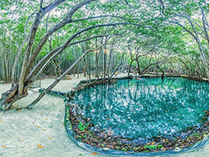 Reserva Natural de Cenotes El Corchito y Playa