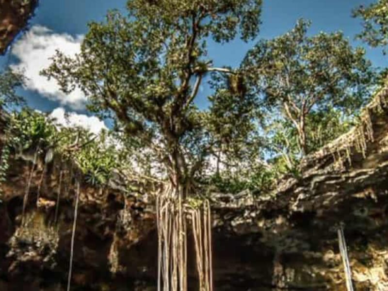 Cenotes en Santa Bárbara