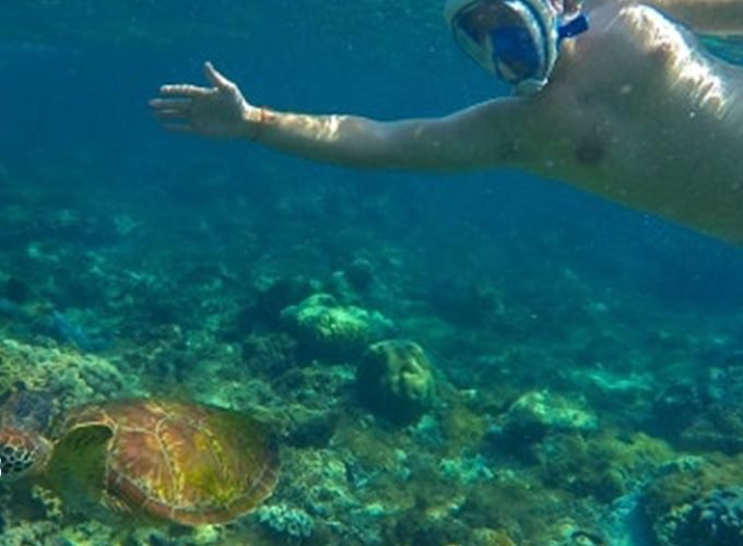 Paseo en Bote y Snorkel