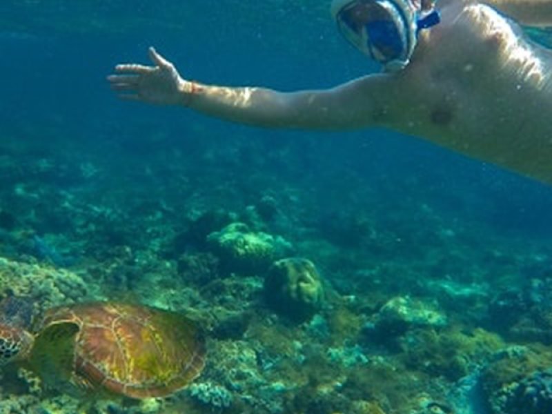 Paseo en Bote y Snorkel