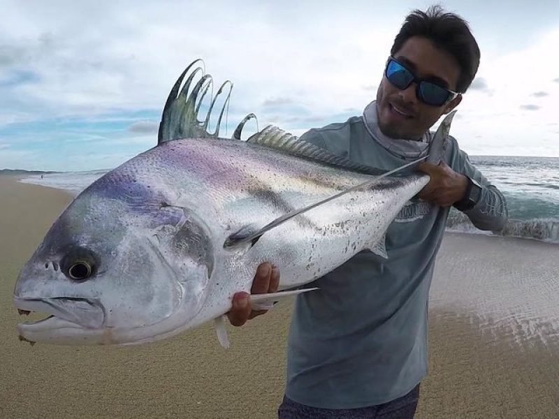 Pesca en Lancha de Pesca Rapida 6hrs