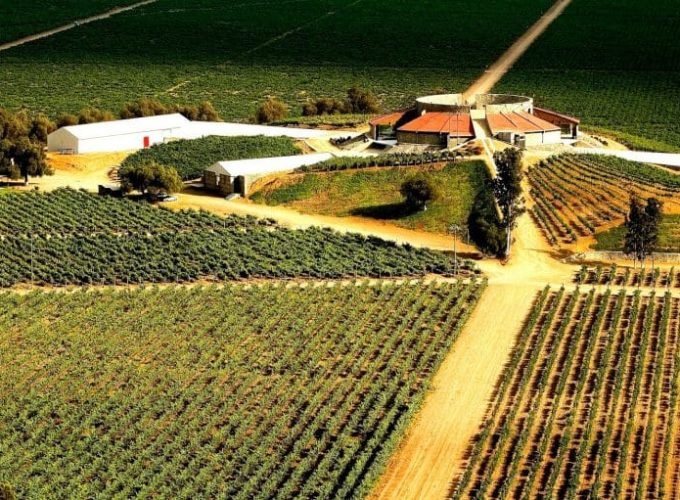 Antigua Ruta del Vino, Valle Santo Tomás