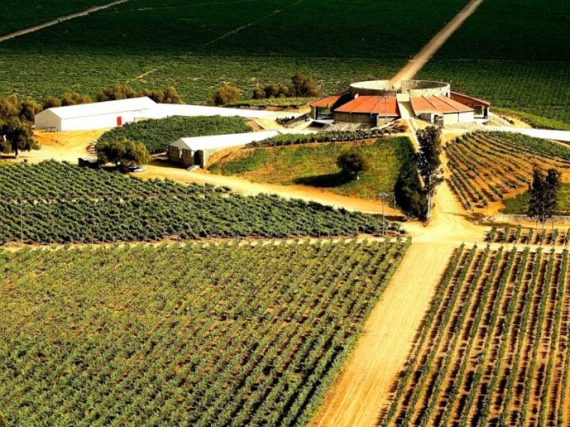 Antigua Ruta del Vino, Valle Santo Tomás