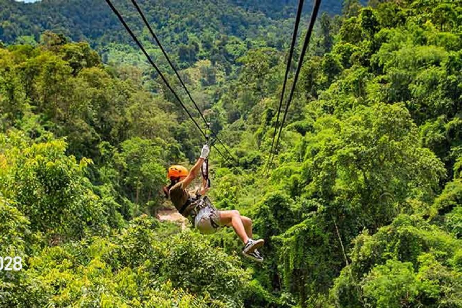 Los Veranos Canopy Tour