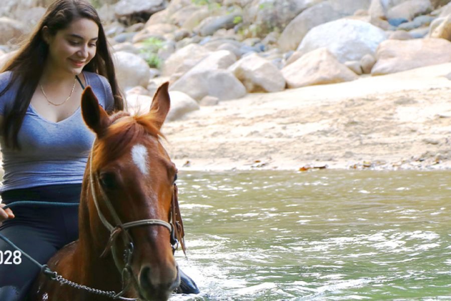 Tour en caballo en el rio