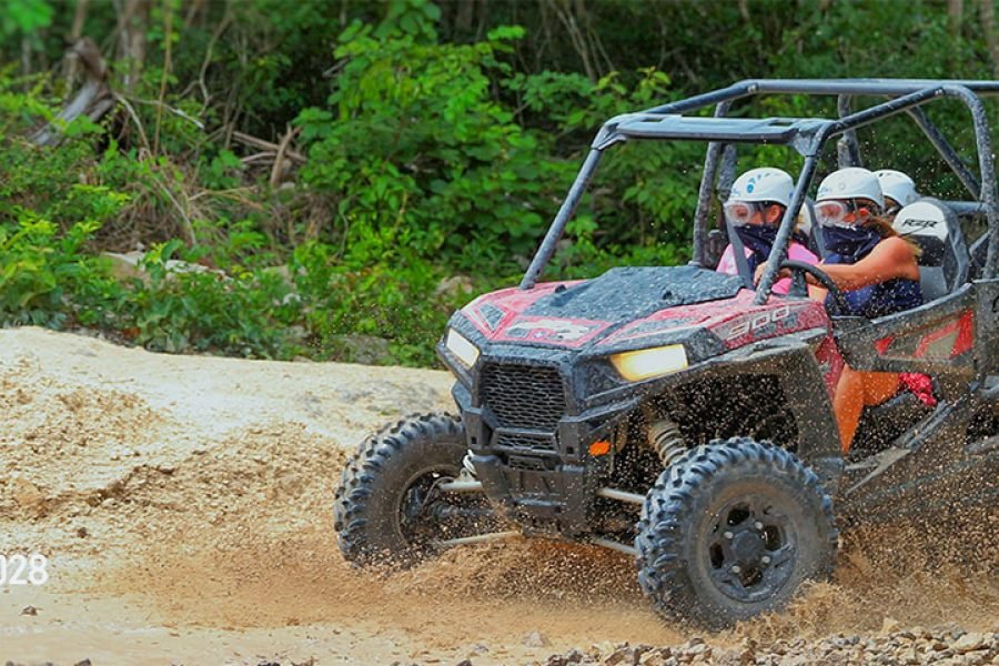 All Terrain Safari