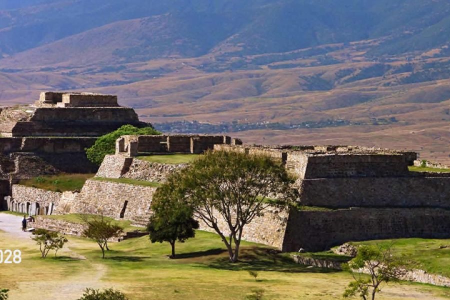 Monte Alban y el Arte de Oaxaca