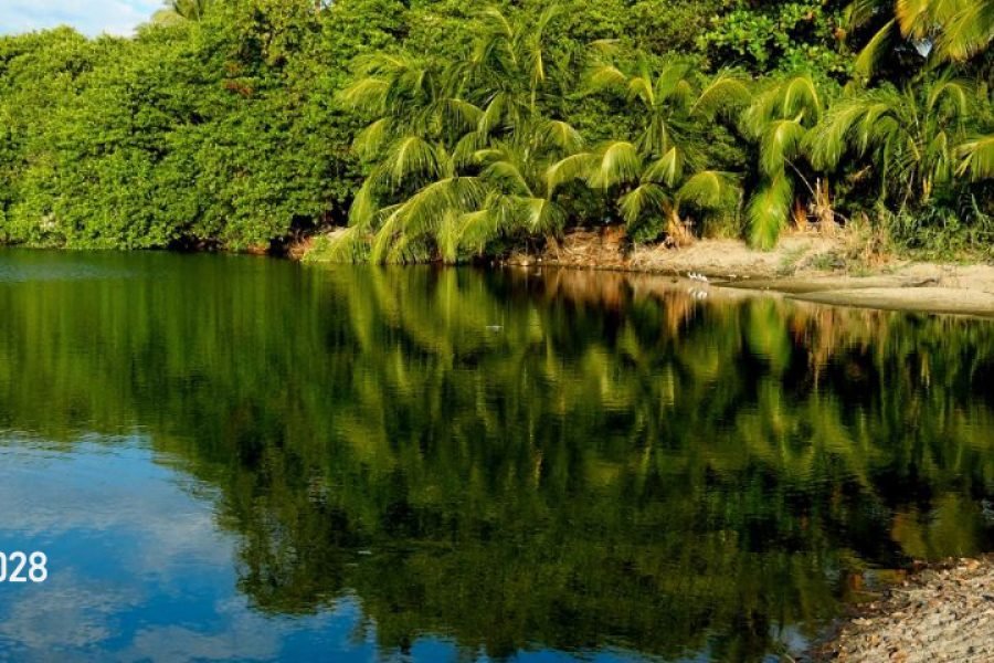 Paseo por la Laguna de Manialtepec