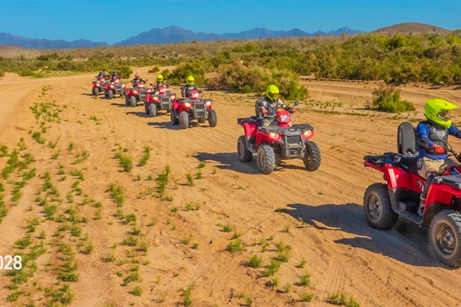 Atv Desert Tour