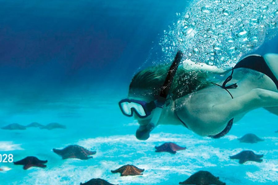 Tour de Snorkel en Cozumel