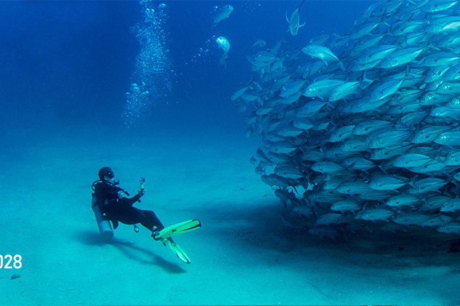 Buceo en Cabo Pulmo