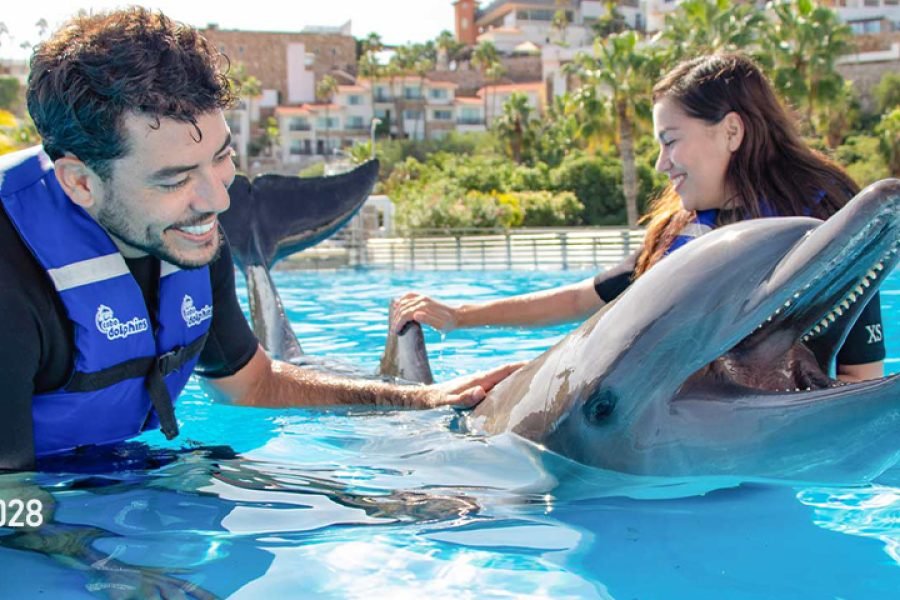 Experiencia con Delfines