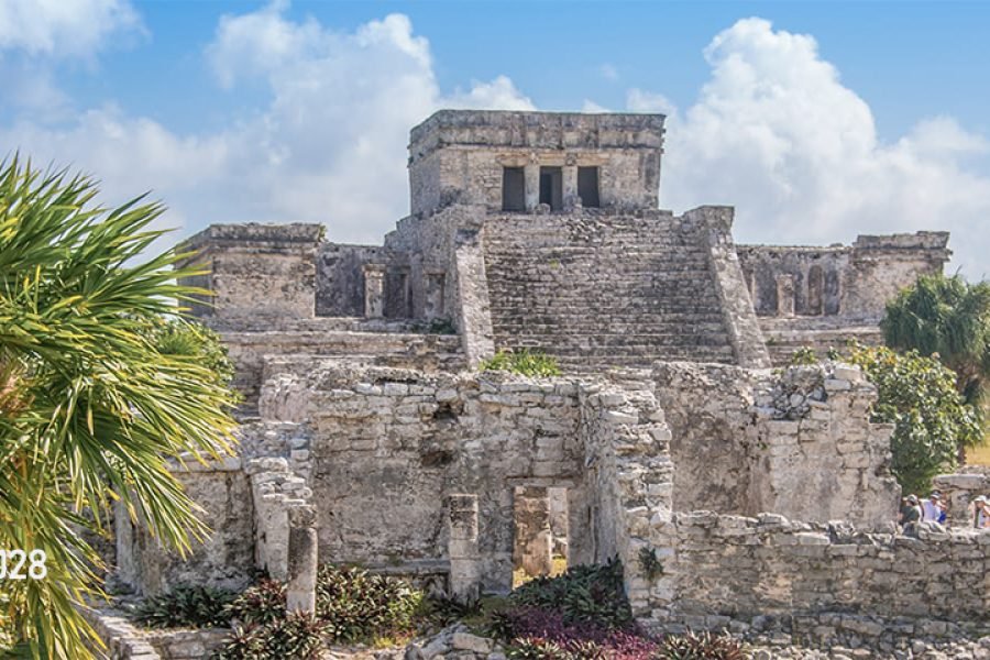 Tulum Cenotes y Snorkel