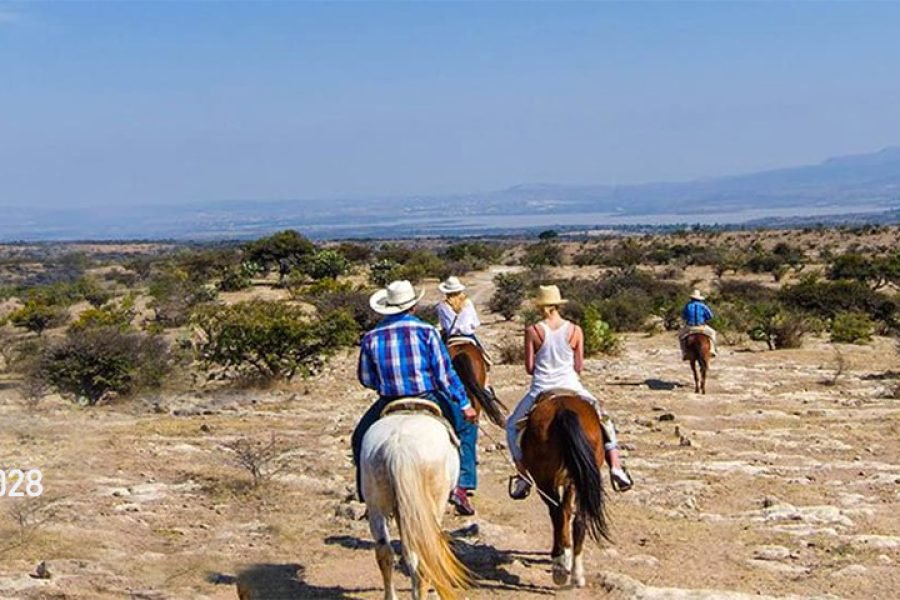 Conoce Guanajuato en Caballo