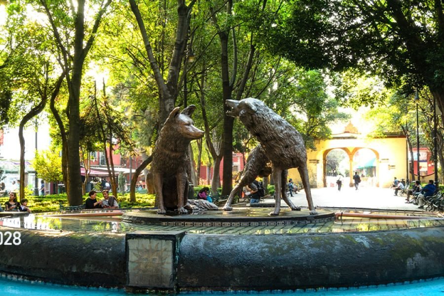 Xochimilco y Coyoacán