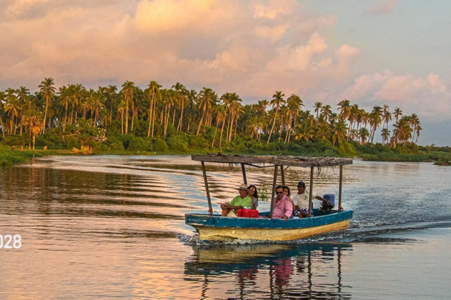 Excursión por la Bahía y la Laguna Coyuca