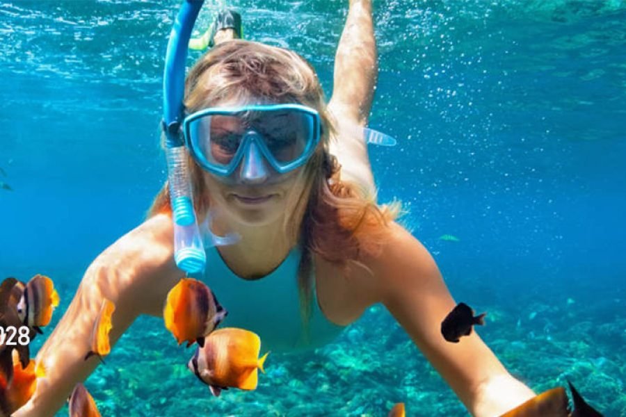 Snorkel en Isla Roqueta