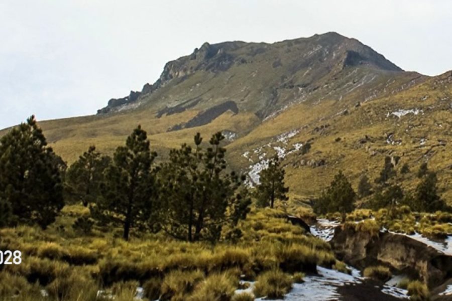 Experiencia de Trekking en el Volcán Malinche