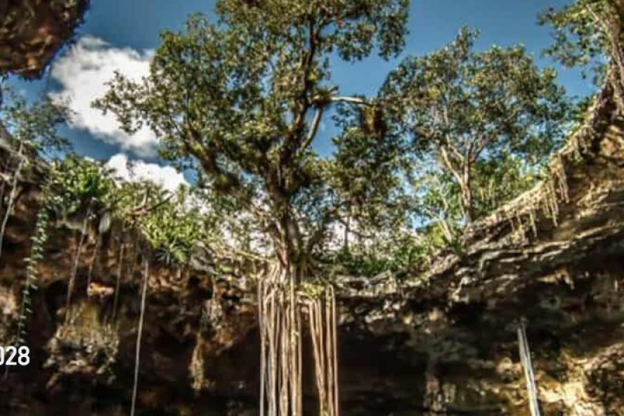 Cenotes en Santa Bárbara