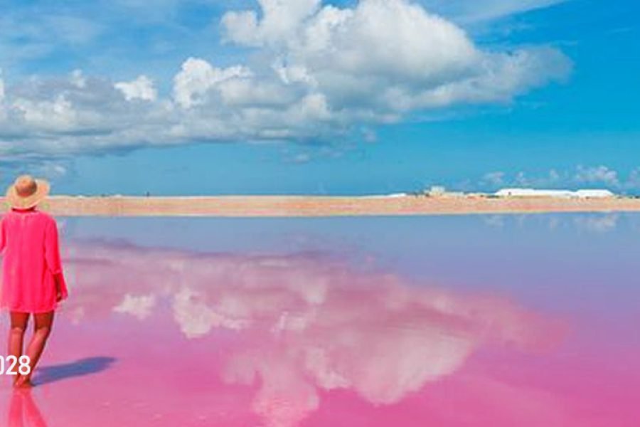 Río Lagartos y La Coloradas