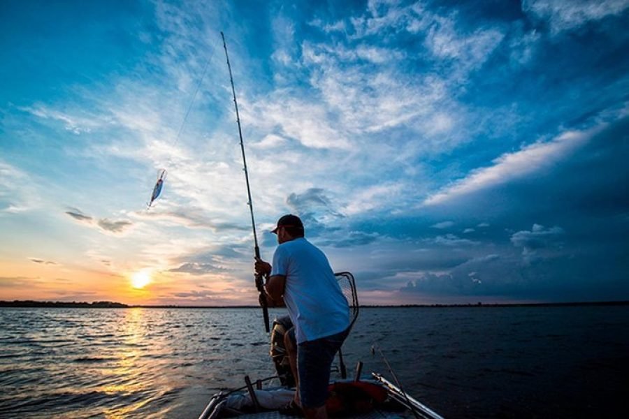 Pesca en Bote de Lujo 8hrs