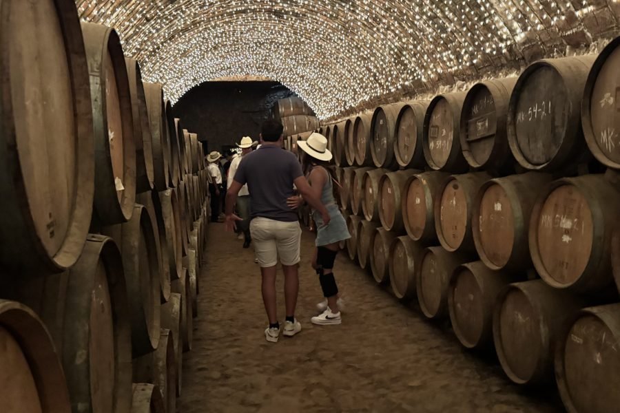 Tour a Tequila Jalisco Todo Incluido