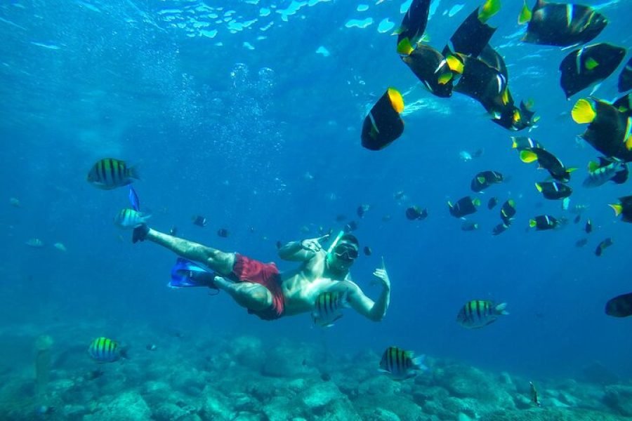 Tour por la Bahía – Descubre el Paraíso del Sur de Vallarta
